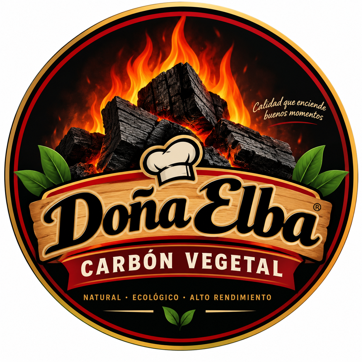 Carbón Vegetal